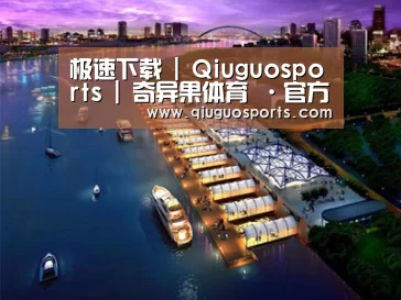 案例展示八