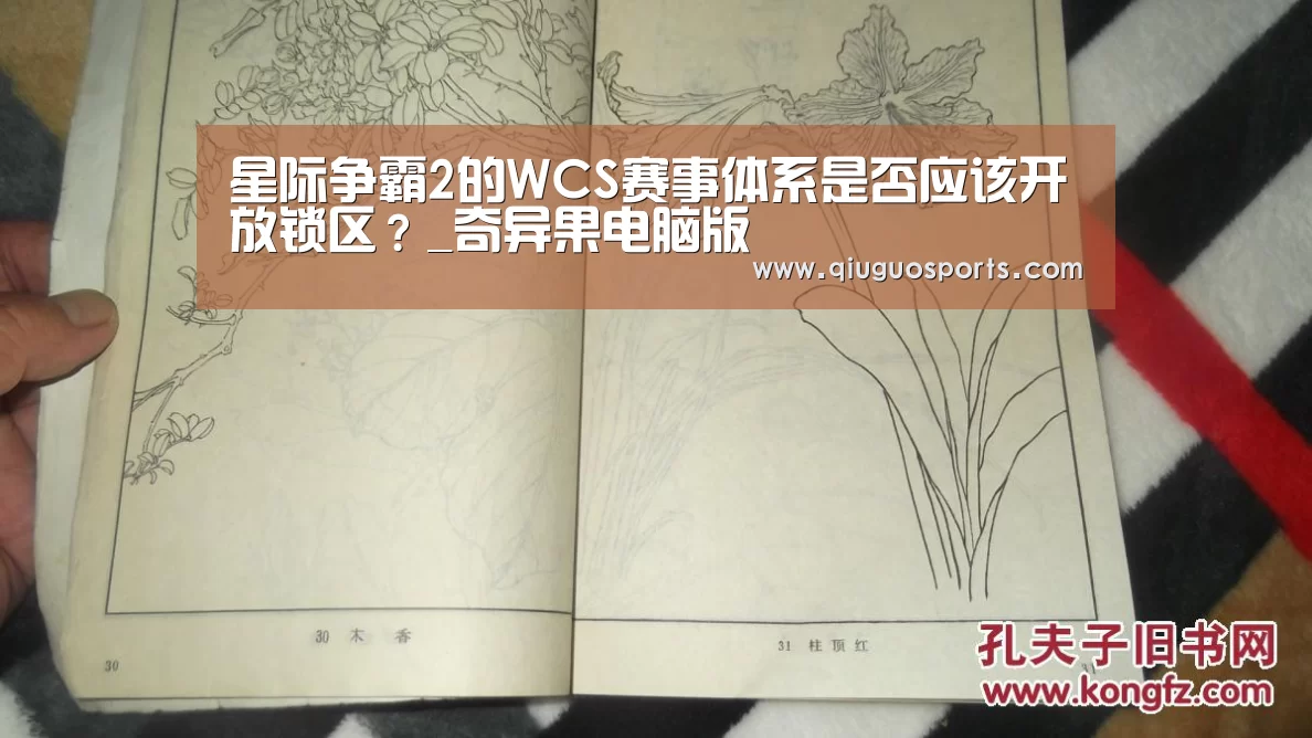 奇异果电脑版