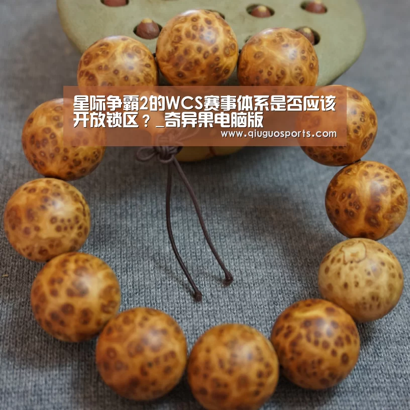 奇异果电脑版