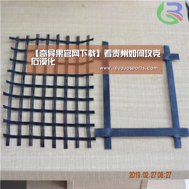 奇异果官网下载