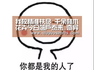奇异果官网下载